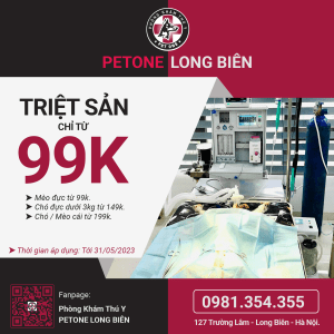 PetOne khuyến mãi triệt sản T5 - 2023